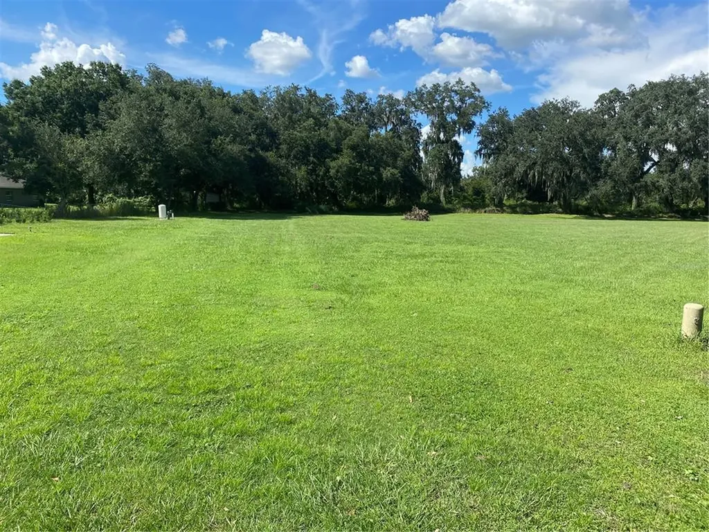 12906 Star Country Lane Dover FL 33527