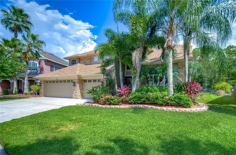 11670 Renaissance View Court Tampa FL 33626