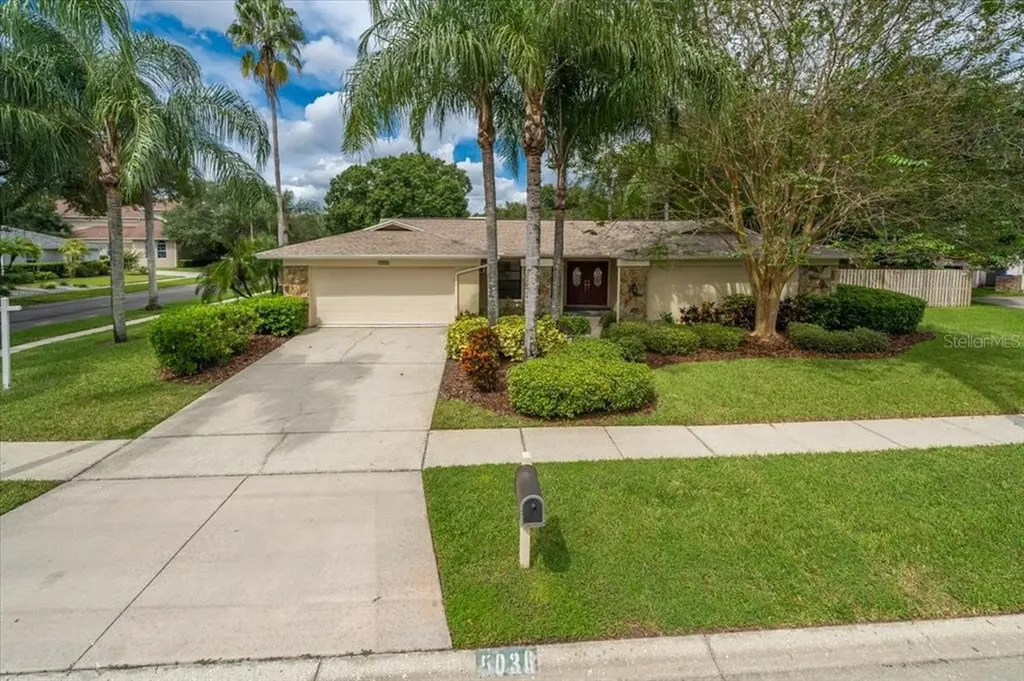 5036 Barrowe Drive Tampa FL 33624