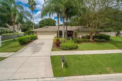 5036 Barrowe Drive Tampa FL 33624