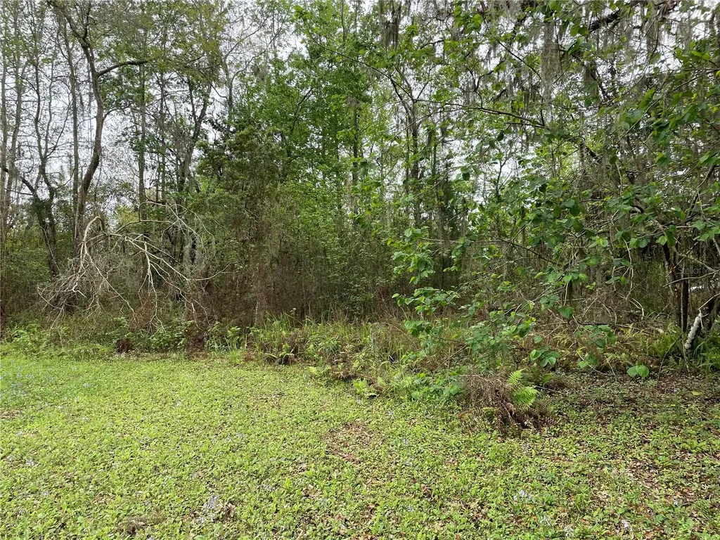 7419 Buck Hope Road Brooksville FL 34601