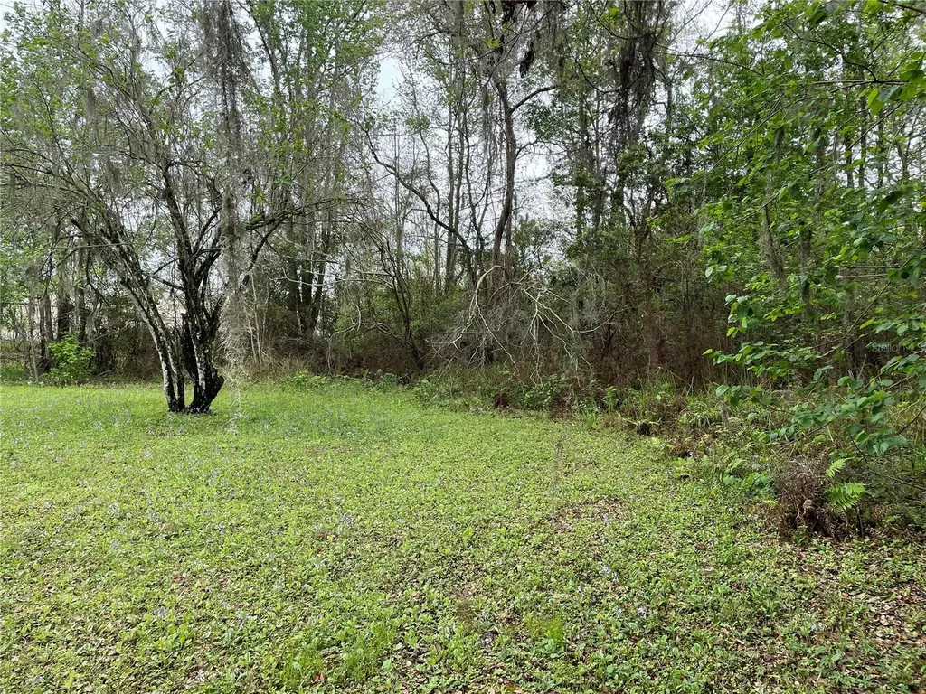 7419 Buck Hope Road Brooksville FL 34601
