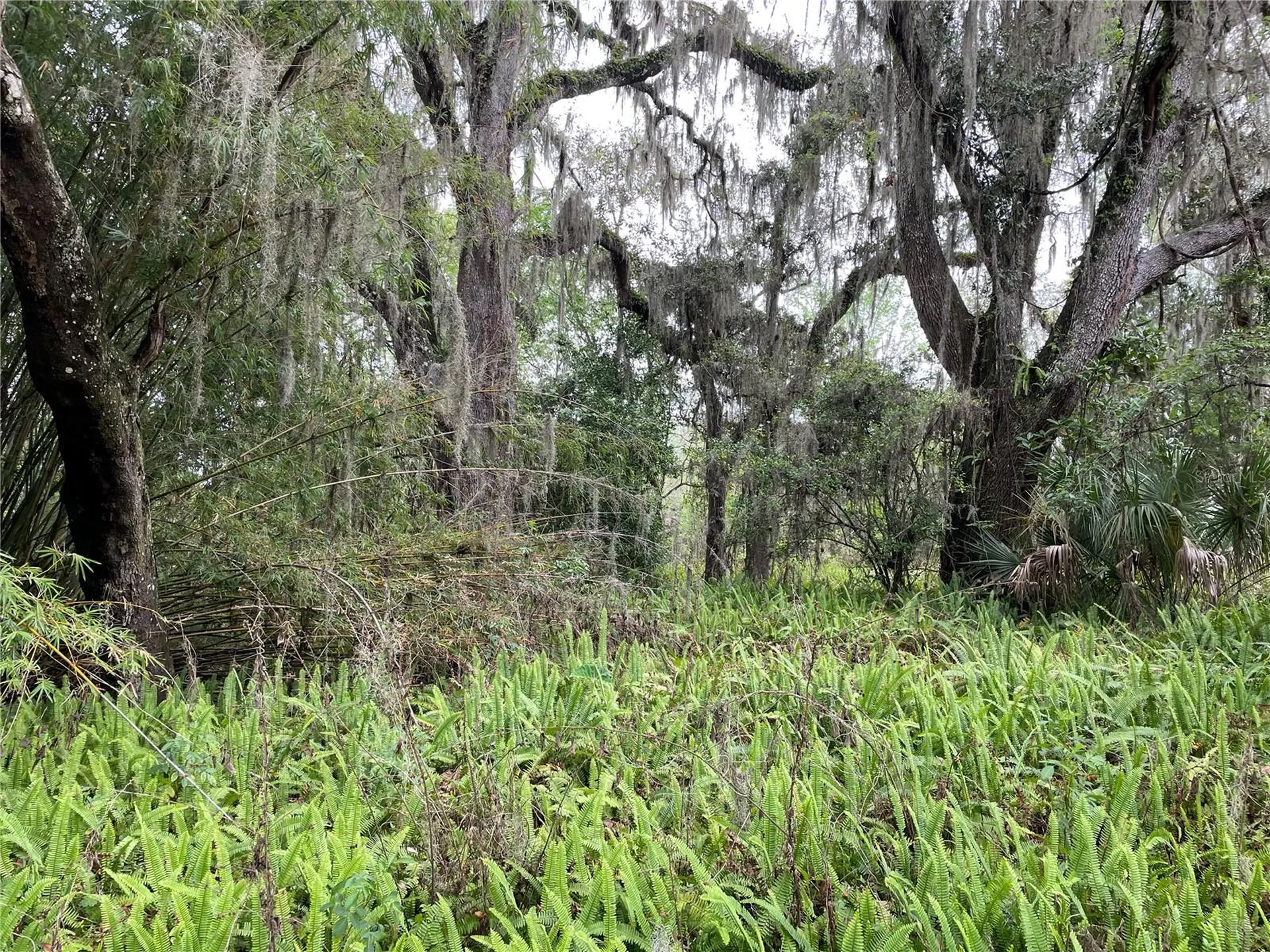 7419 Buck Hope Road Brooksville FL 34601