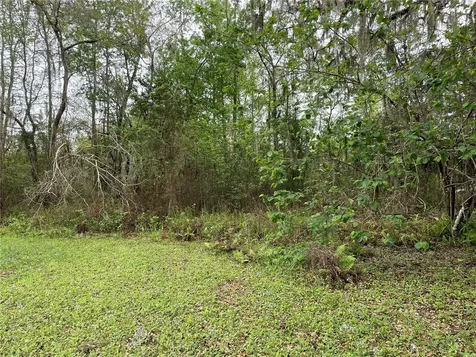 7419 Buck Hope Road Brooksville FL 34601