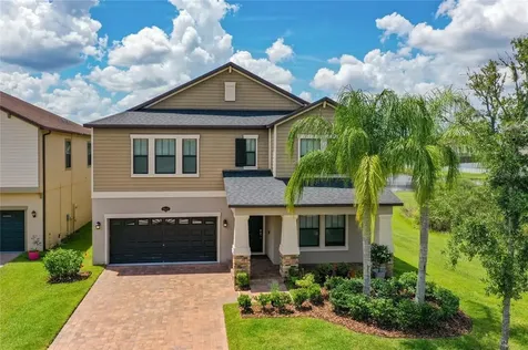 19445 Paddock View Drive Tampa FL 33647