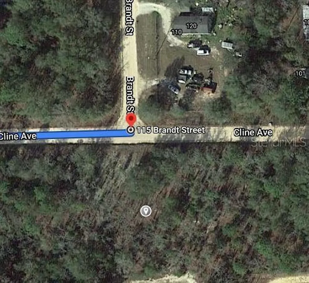 115 Branch Avenue Interlachen FL 32148