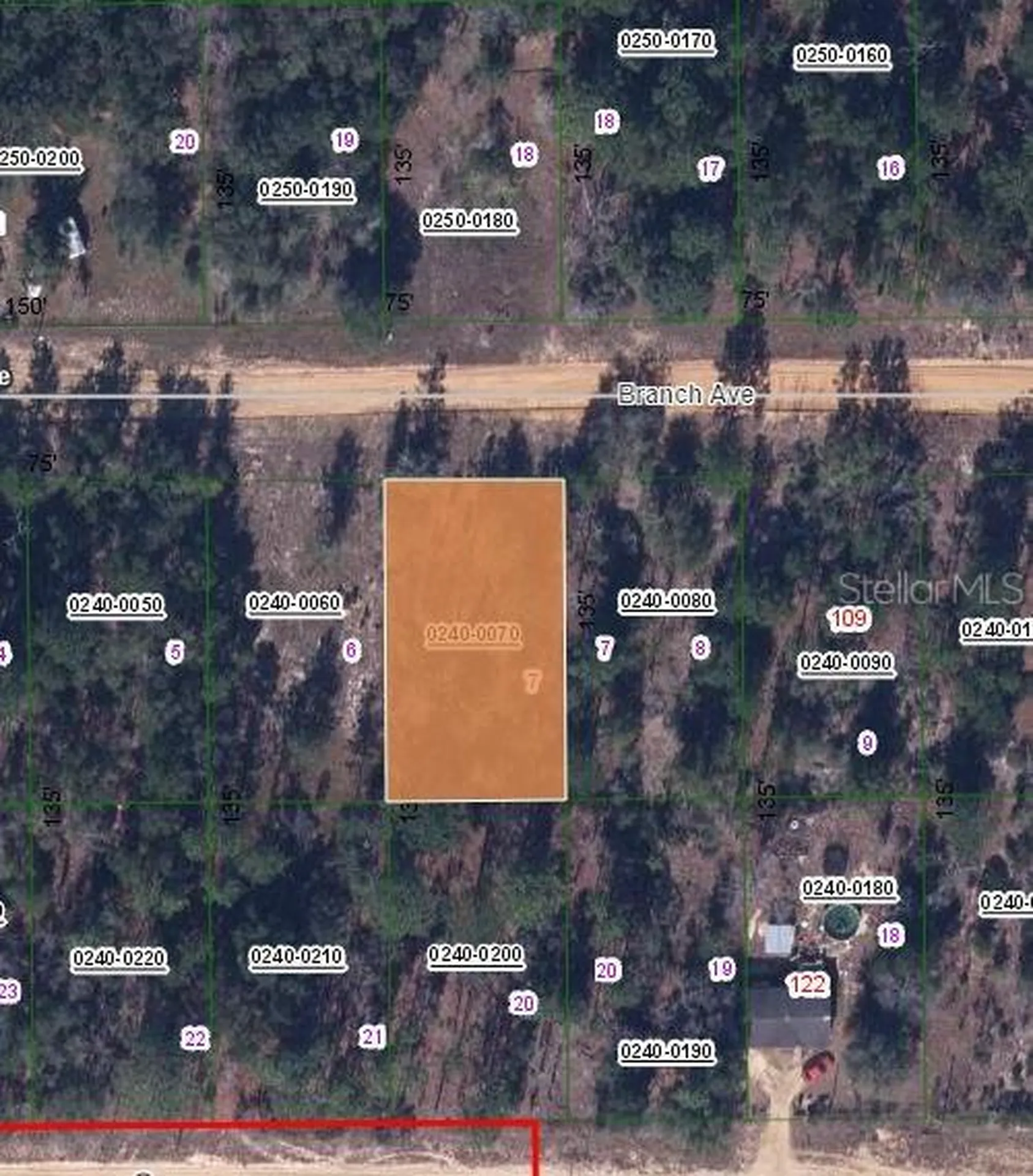 115 Branch Avenue Interlachen FL 32148
