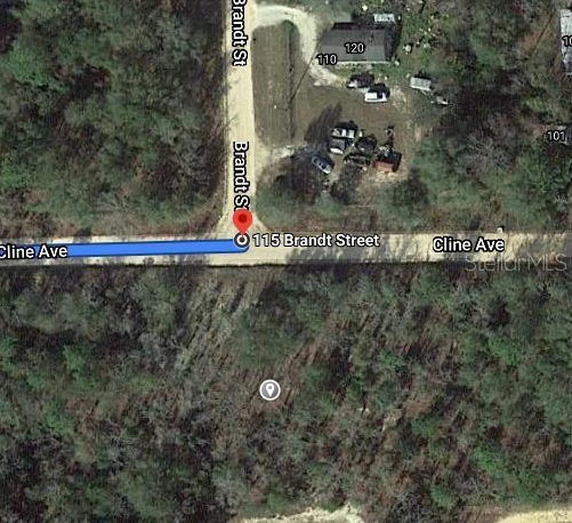 115 Branch Avenue Interlachen FL 32148