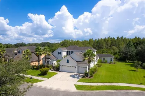 10505 Mistflower Lane Tampa FL 33647