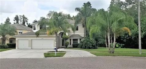 18905 Fishermans Bend Drive Lutz FL 33558