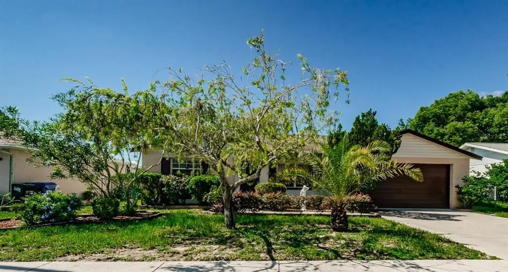 6250 Seaford Drive Holiday FL 34690