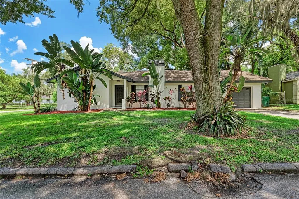 1702 E Fern Street Tampa FL 33610