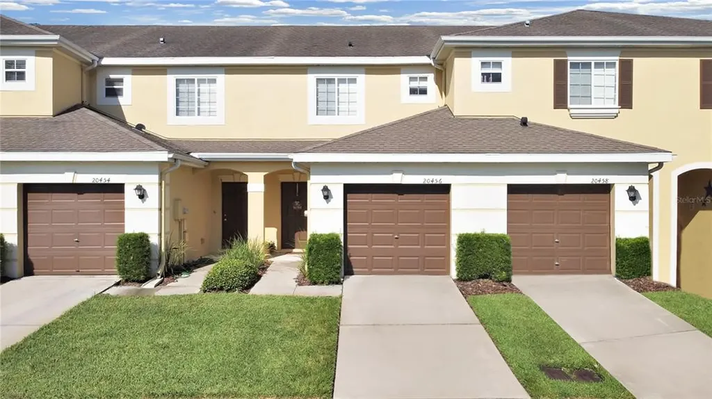 20456 Needletree Drive Tampa FL 33647