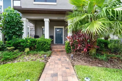 28623 Tranquil Lake Circle Wesley Chapel FL 33543