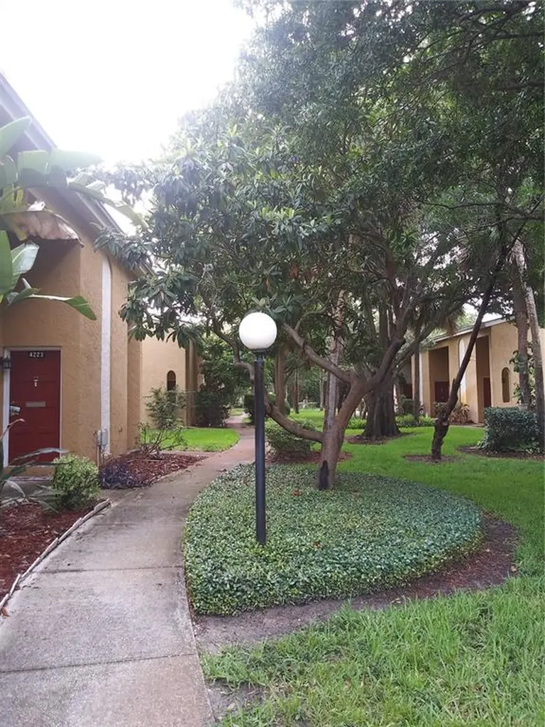 4227 La Dega Court Tampa FL 33611