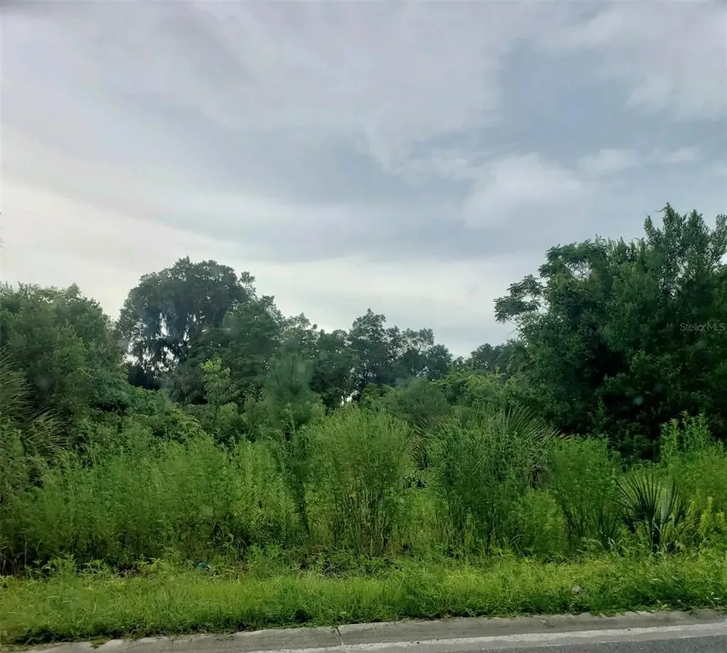 509 NW Wilson Street Lake City FL 32055