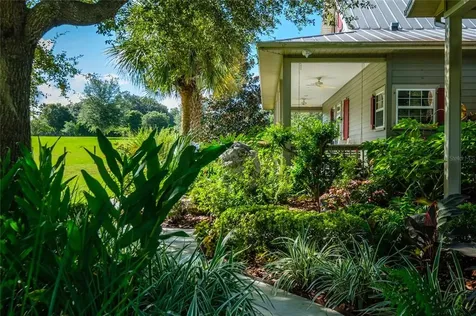 14420 SW Williston Road Micanopy FL 32667