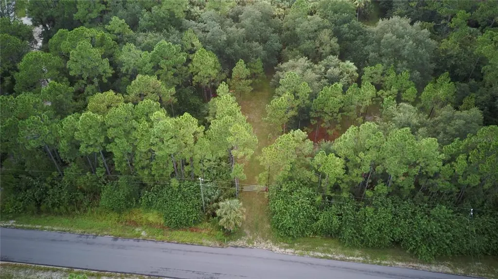 1020 Lake Harney Woods Boulevard Mims FL 32754