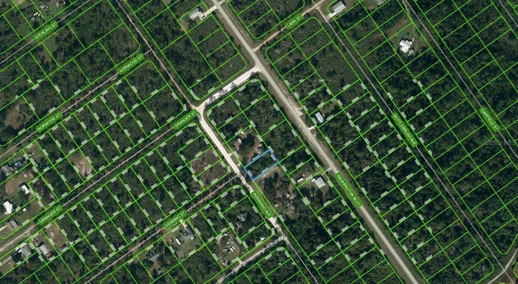 557 Pershing Avenue Lake Placid FL 33852