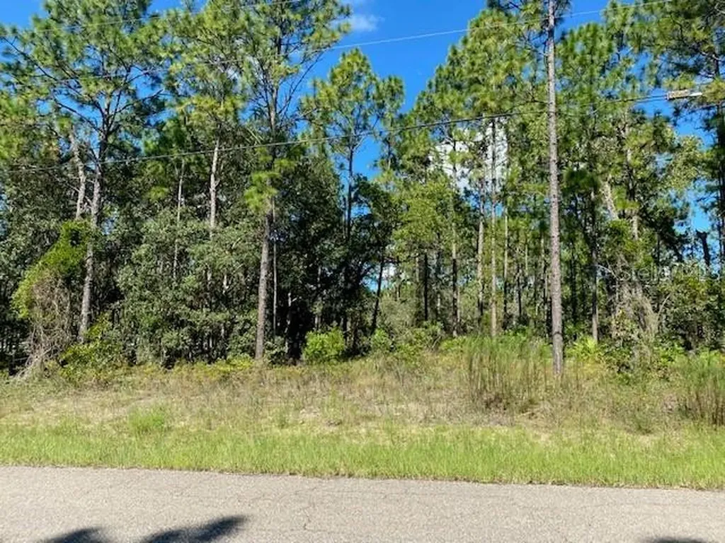 7574 N Cricket Drive Citrus Springs FL 34434