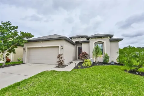 12236 Creek Preserve Drive Riverview FL 33579