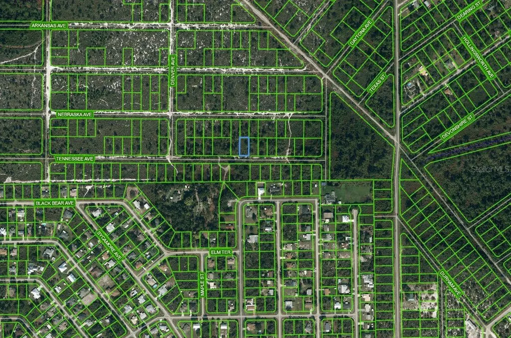590 Tennessee Avenue Lake Placid FL 33852