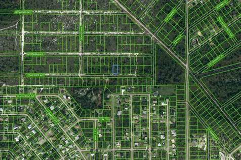 590 Tennessee Avenue Lake Placid FL 33852