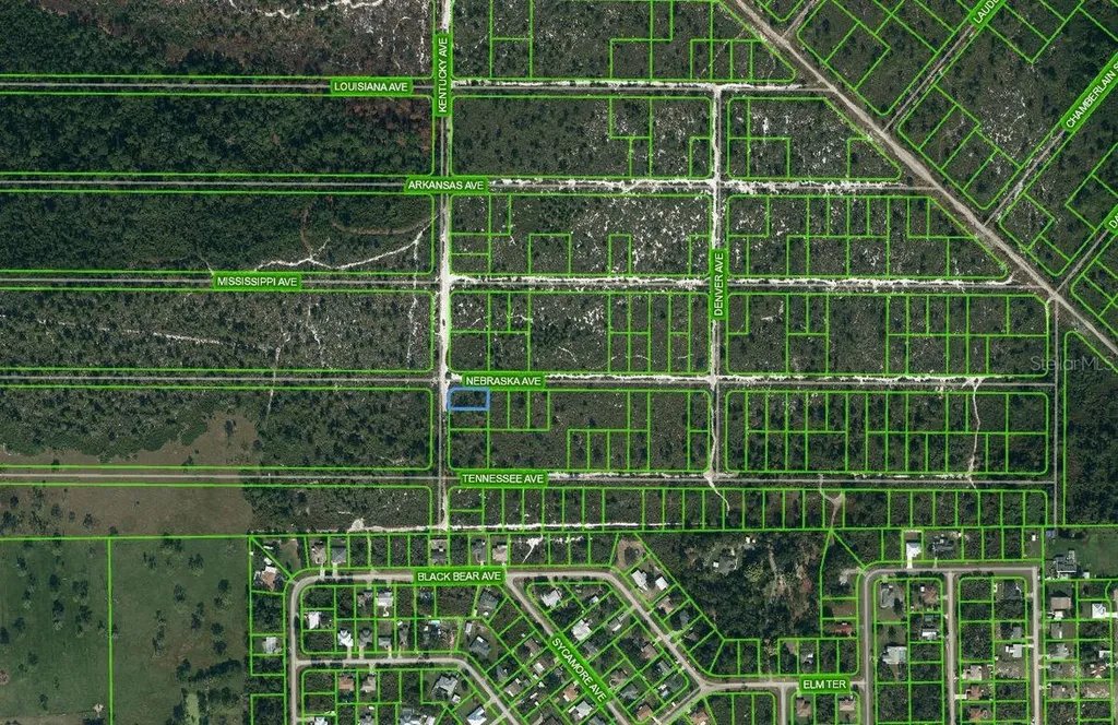 511 Kentucky Avenue Lake Placid FL 33852