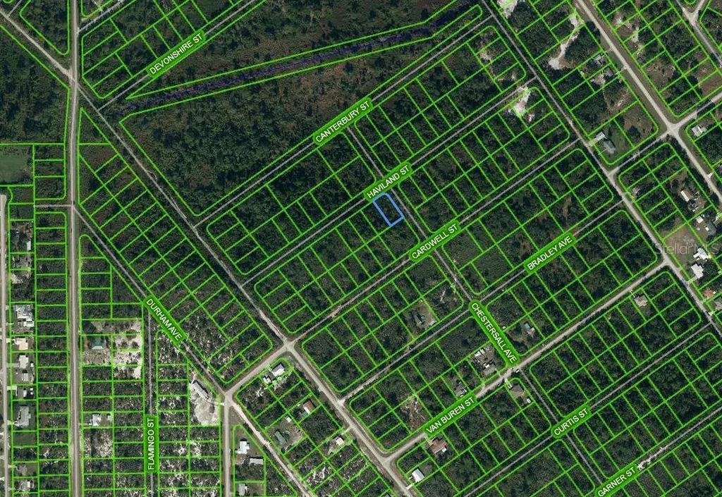 1213 Chestersall Avenue Lake Placid FL 33852