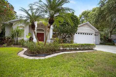 667 Berrywood Way Palm Harbor FL 34683