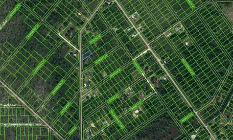 543 Hallmark Avenue Lake Placid FL 33852
