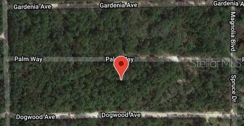 117 Palm Way Georgetown FL 32139
