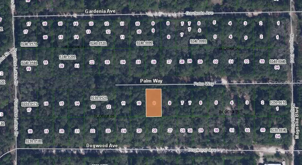 117 Palm Way Georgetown FL 32139