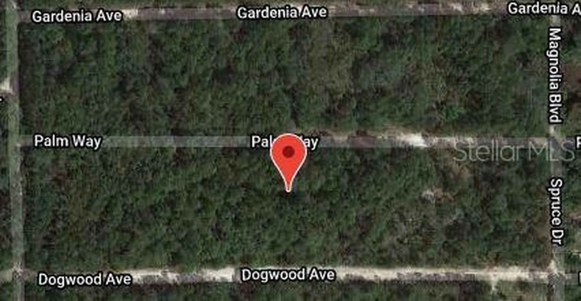 117 Palm Way Georgetown FL 32139