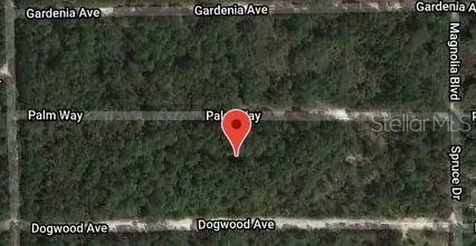 117 Palm Way Georgetown FL 32139