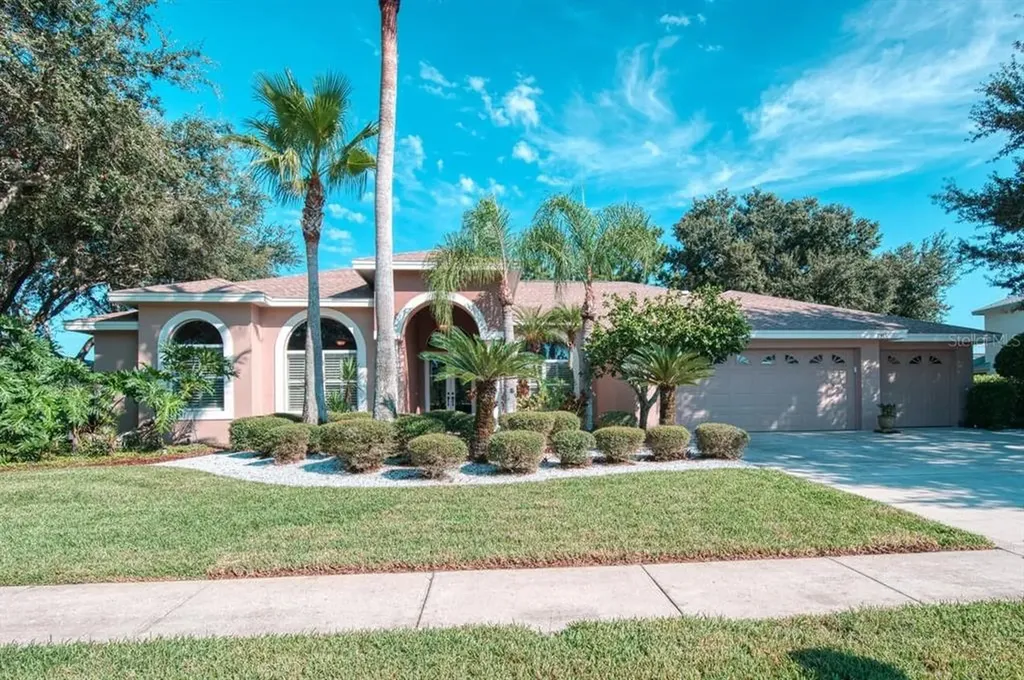 3915 Moreno Drive Palm Harbor FL 34685