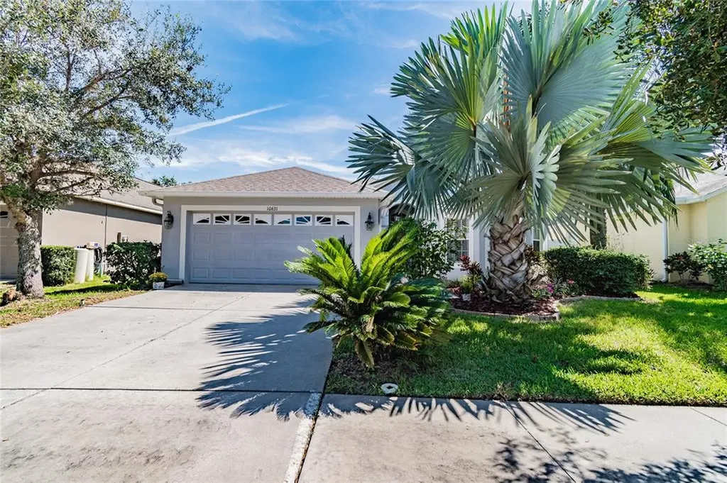10631 Liberty Bell Drive Tampa FL 33647