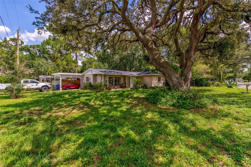 11821 Vera Avenue Tampa FL 33618