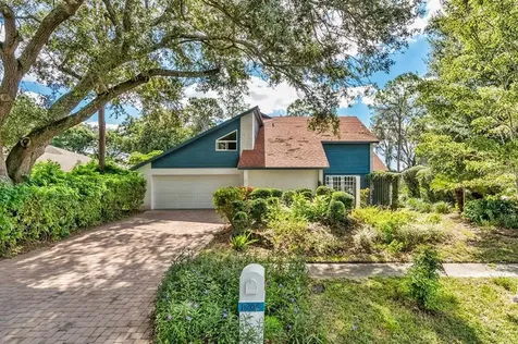 14206 Banbury Way Tampa FL 33624