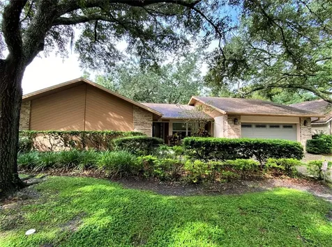 1040 Sylvia Lane Tampa FL 33613