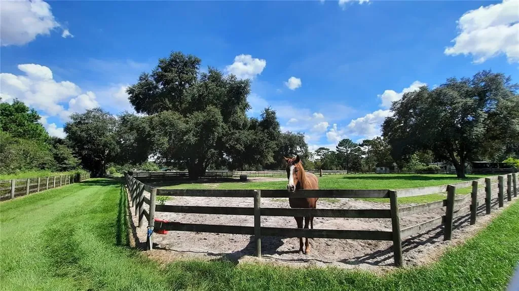 14012 S Magnolia Avenue Ocala FL 34473