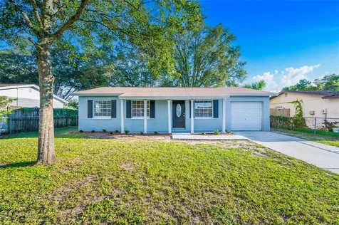 2007 Balfour Circle Tampa FL 33619