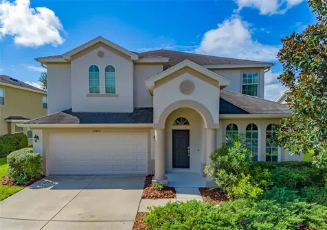 27420 Silver Thatch Drive Wesley Chapel FL 33544