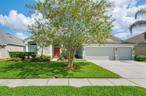 26805 Shoregrass Drive Wesley Chapel FL 33544