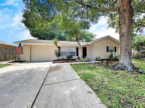 707 Lemonwood Drive Oldsmar FL 34677