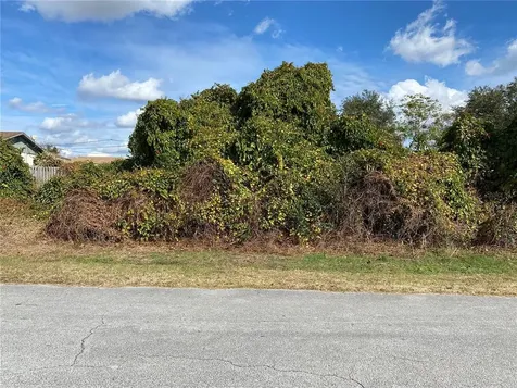 1232 Abagail Drive Deltona FL 32725
