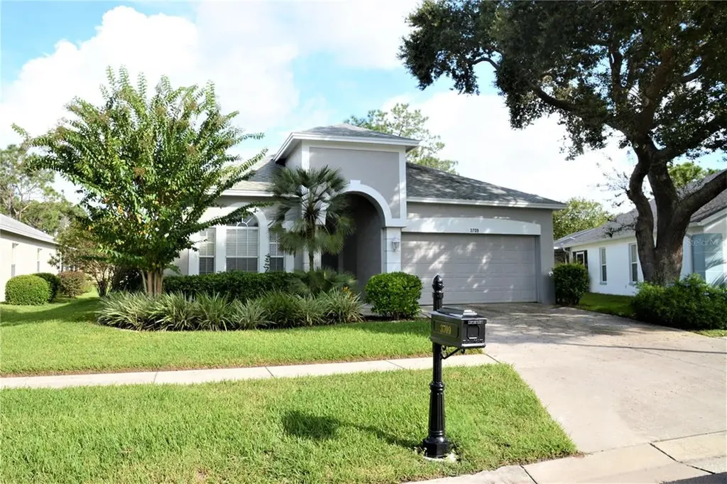 3709 Rain Tree Court Palm Harbor FL 34685