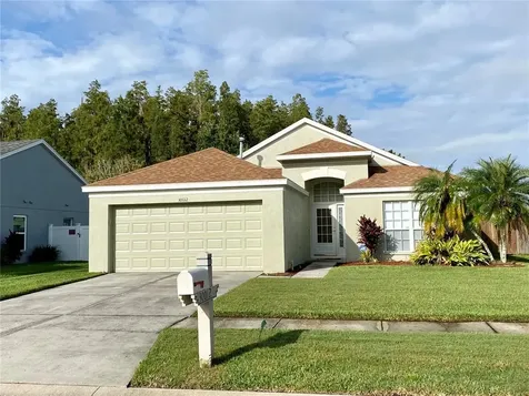 30012 Morningmist Drive Wesley Chapel FL 33543