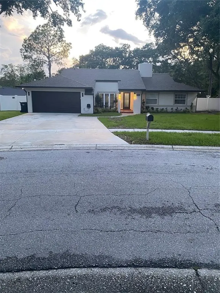 12510 Twisted Oak Drive Tampa FL 33624