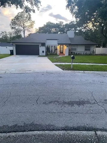 12510 Twisted Oak Drive Tampa FL 33624